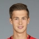 Ф. Виндхагер  