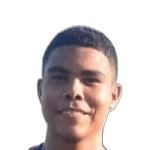 М. Кастільо