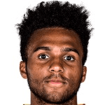 Э. Палмер-Браун  