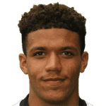 Л. Джеймс-Вілдін