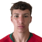 Диого Травассуш