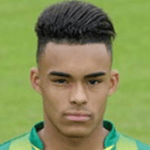 Джошуа Адні