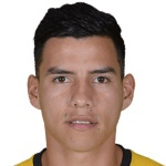 Р. Вильямисар