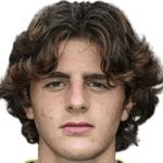 М. Верцеллетти  