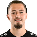 Ж. Поелманс