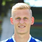 Н. Хоффманн  