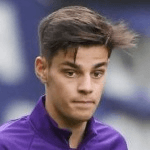 Н. Пьероцци