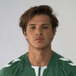 Х. Романьоли