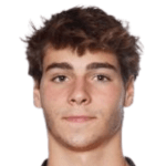 Гийе Сунико