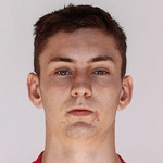 Л. Стефанович