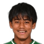 Р. Хасимото