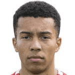 Д. Джеймс-Тейлор  