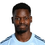 Н. Исима-Мирин