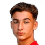 Гилье Фернандес