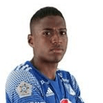 Е. Родригес  