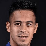 Н. Фернандес  