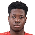 Б. Аррей-Мбі