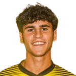 Давид Пинту Вейга  