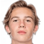 Э. Фишерстрем  