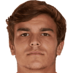 Г. Нарделли  