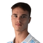 Н. Медоєвич  