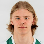 Н. Лейнонен