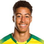 Ж. Томкинсон  