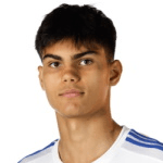 Н. Сернеліус  