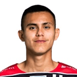 Н. Родригес