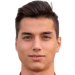 В. Димитриевич  