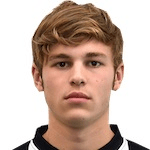 Ф. Эрмакора  