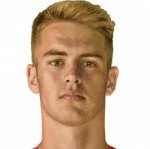 Д. Веселинов  