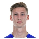 Х. Вайгельт