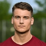 М. Ханнеманн  