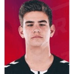 К. Треловски  