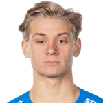 Л. Хеденберг