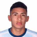 Э. Фернандес