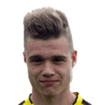 Ж. Ван дер Хейден  