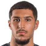 Н. Лайдоуни