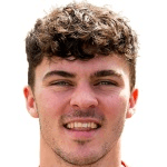 К. Маккенна  