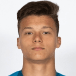 Д. Васильев