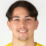 Н. Йовичевич