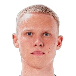 В. Грекович  