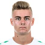 Д. Штайнингер