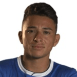 Н. Орельяна  