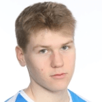 В. Ханнинен