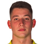 М. Боргоньо  