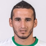 Г. Сельерино