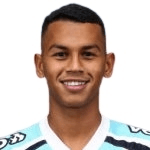 Фернандо Энрике