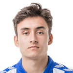 Н. Миккельсон